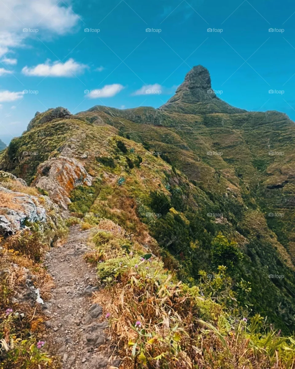 Roque de taborno
