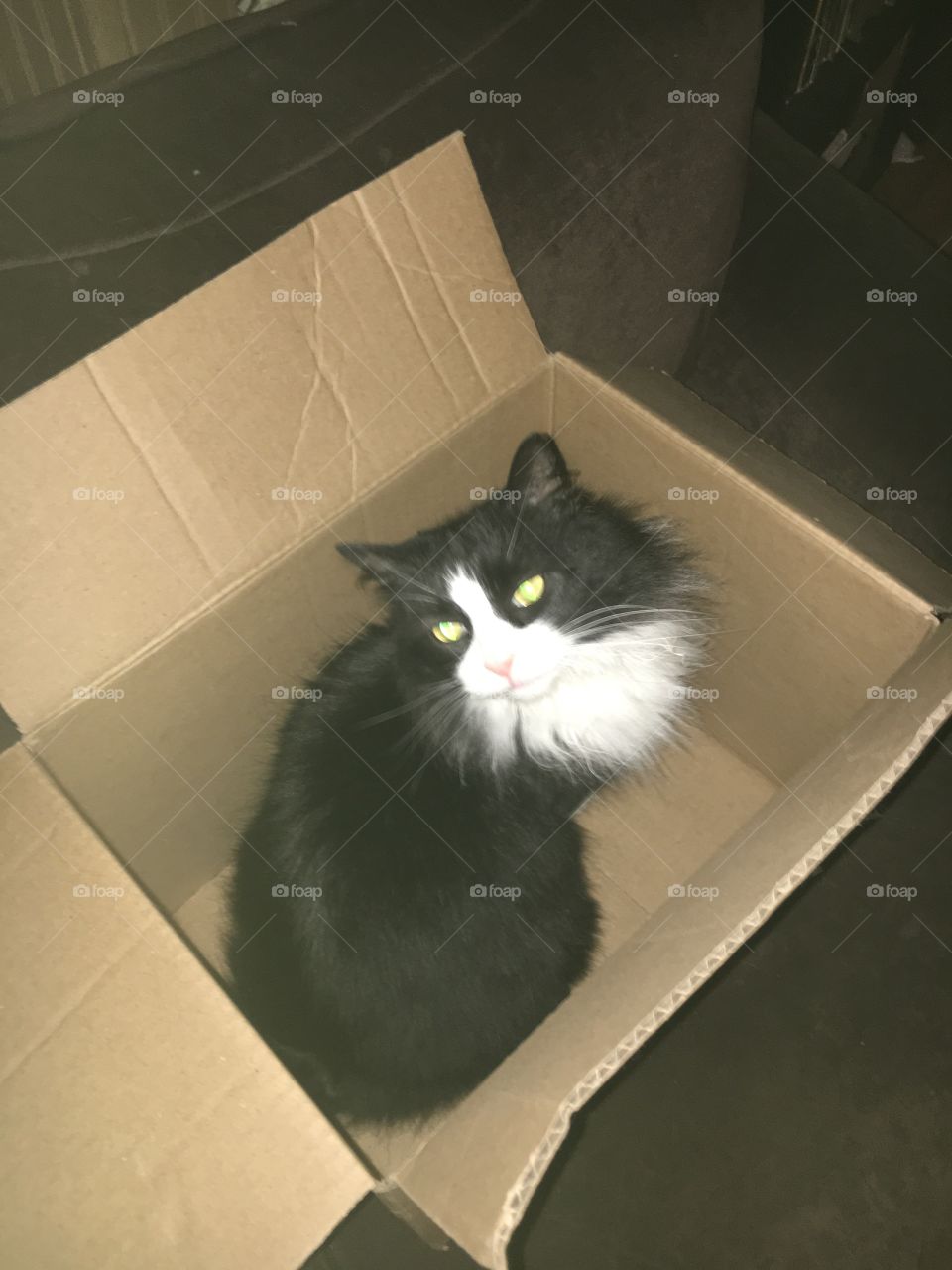 Don’t let the cat out of the box!