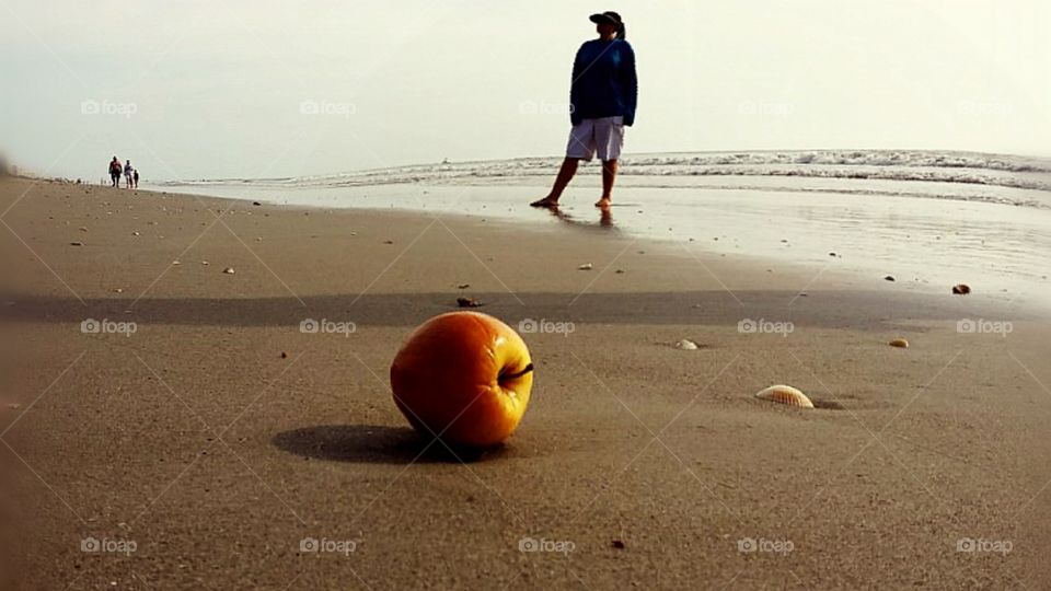 Beach scene