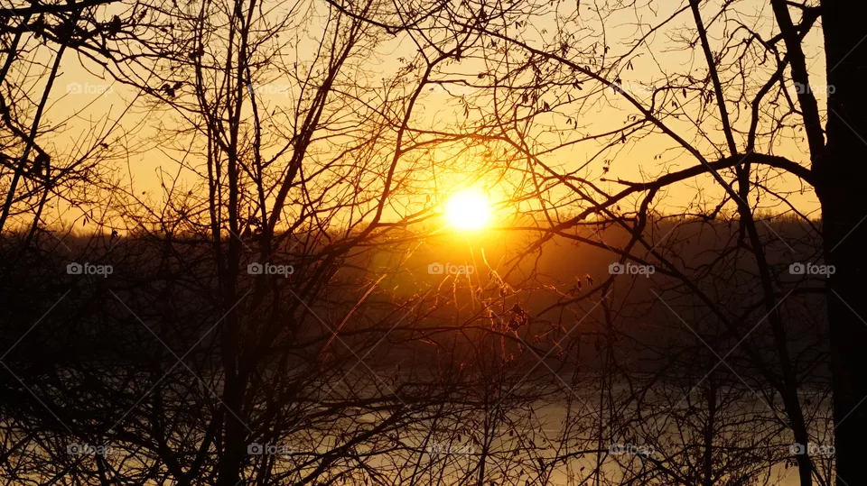 dawn