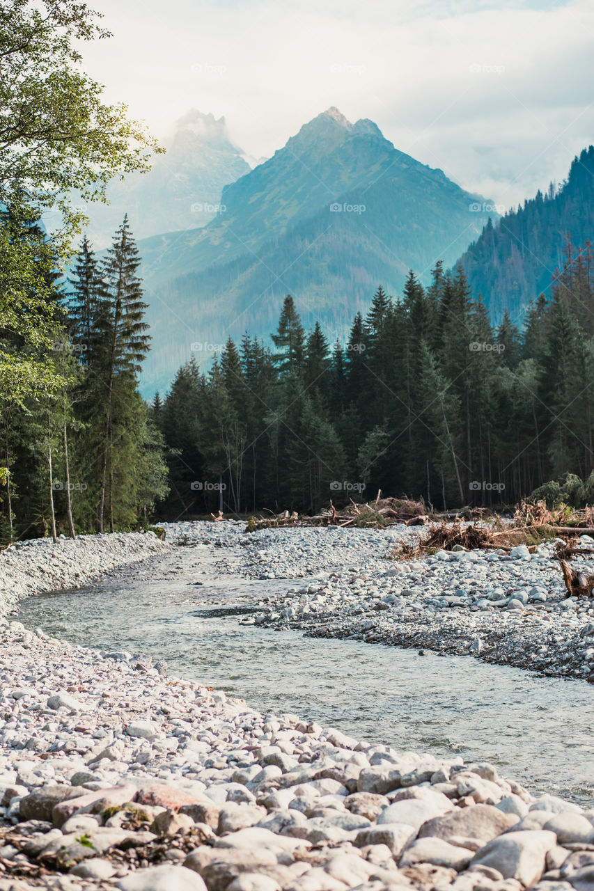 Mountain river valley landscape. Natural scenery of the mountain stream, pine trees and mountain peaks in Tatra Mountains