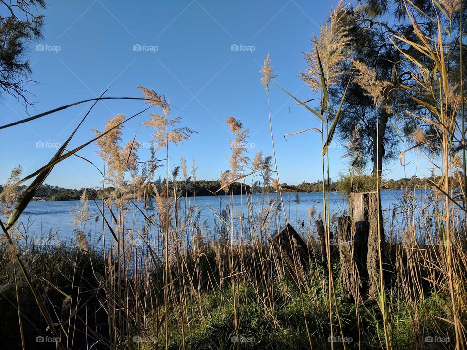 Walking Trail