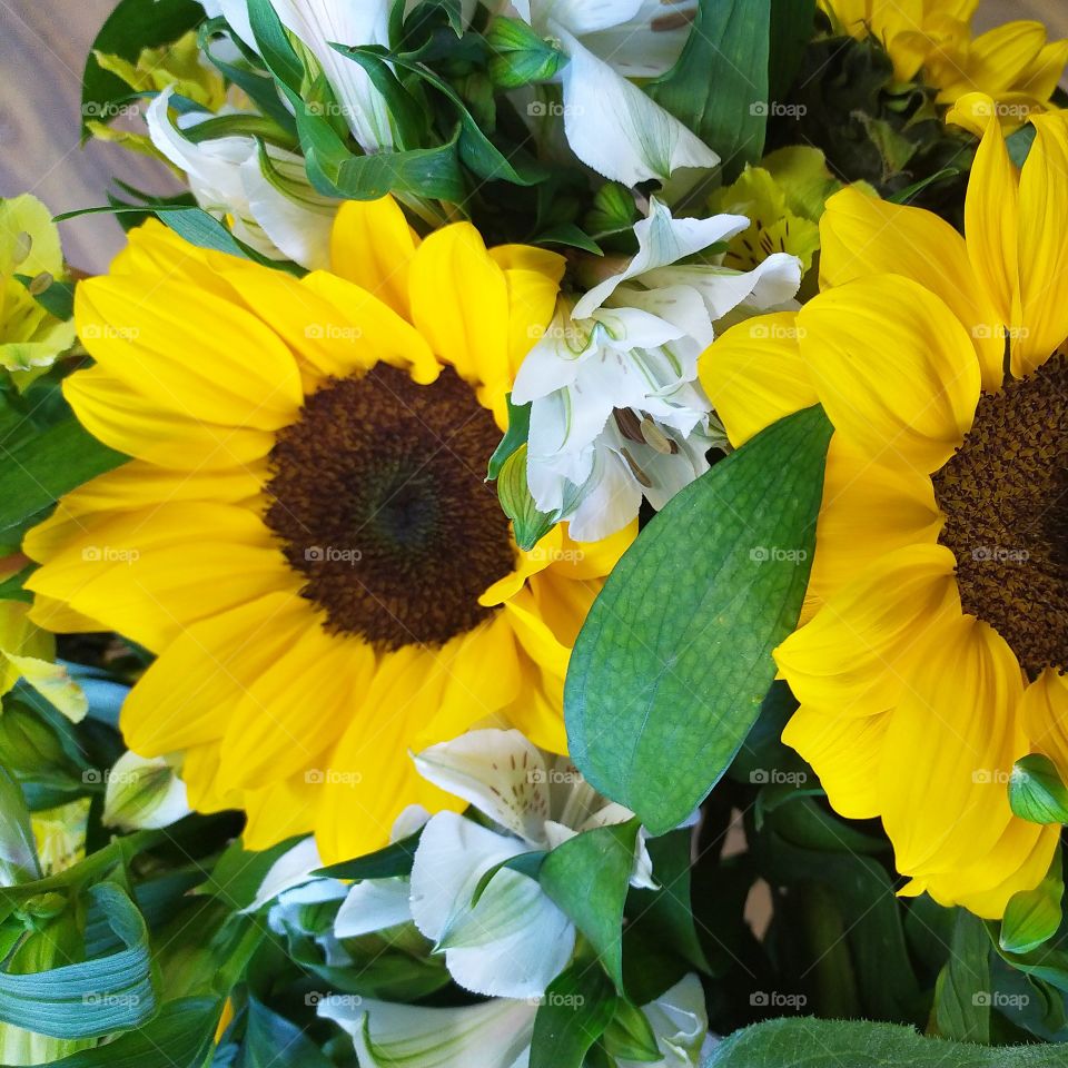 sunflowers in a bouquet