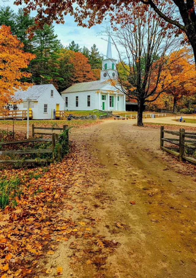 Colors of Autumn