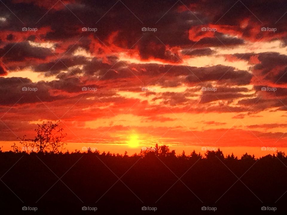 Orange  Sunset 