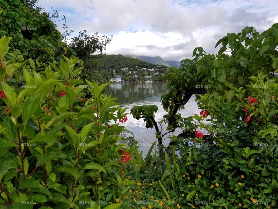 Kaneohe Bay